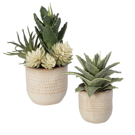 western succulents Spiked Succulents Set of 2 – Western Passion