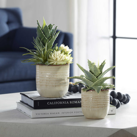 spike succulents Spiked Succulents Set of 2 – Western Passion