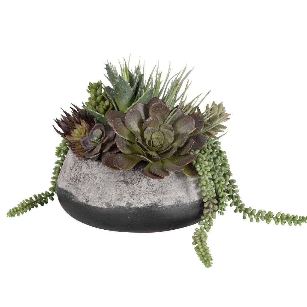 green and purple succulent Green and Purple Succulent Centerpiece – Western Passion