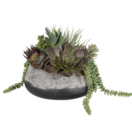 Green and Purple Succulent Centerpiece – Western Passion