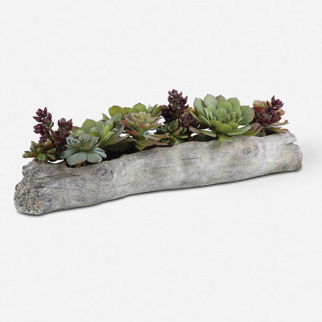 realistic artificial succulents Charita Succulents