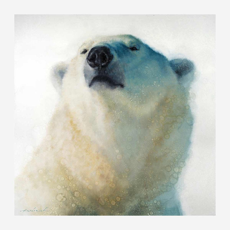 Close-up of a polar bear with a soft focus effect