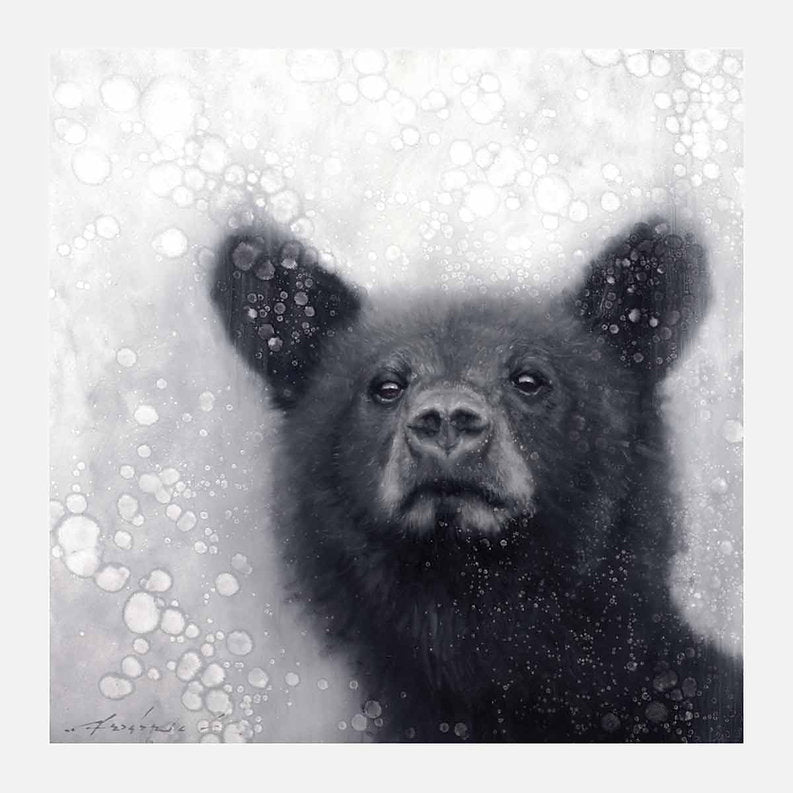 Black bear in snow with a snowy background