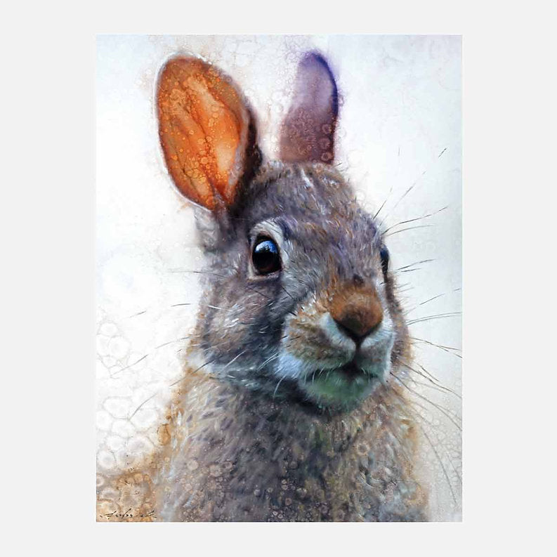 Close-up of a rabbit's face with a white background