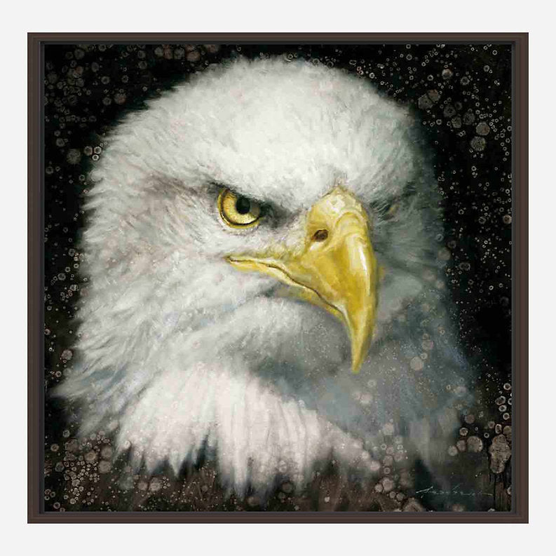 Close-up of a bald eagle's face with a dark, starry background