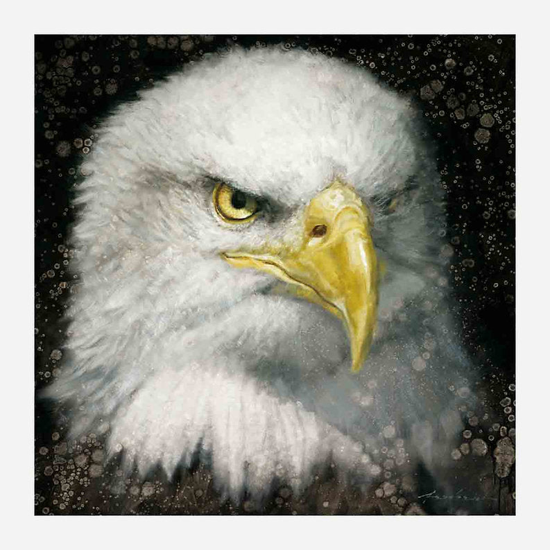Close-up of a bald eagle's face with a dark, starry background