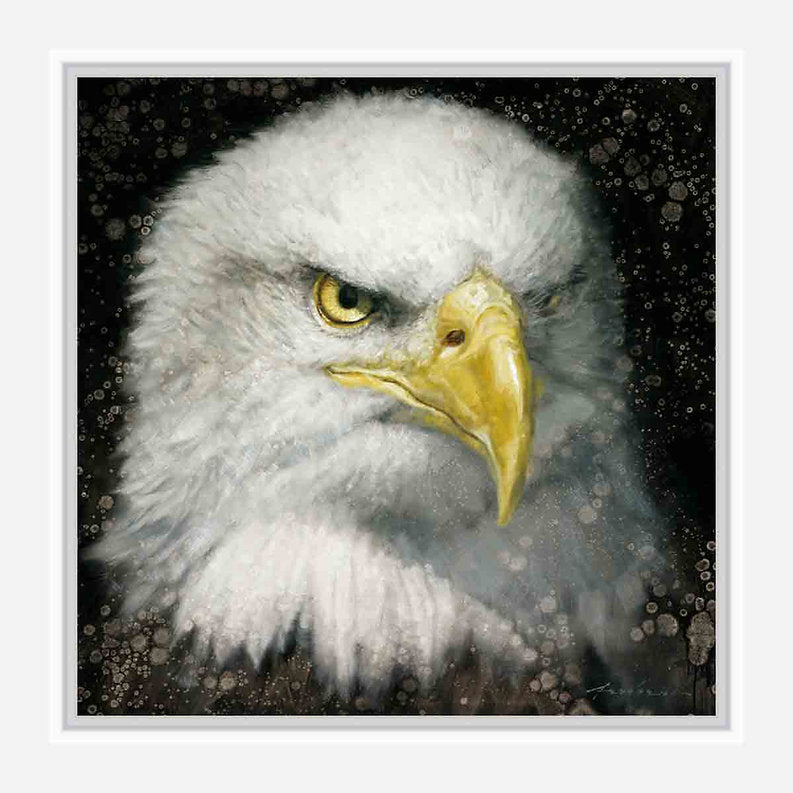 Close-up of a bald eagle with a dark speckled background