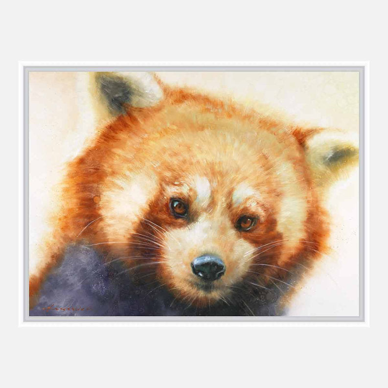White framed artwork of a red bear's face on a white background.