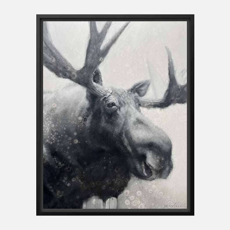 Framed artwork of a moose with large antlers on a light background