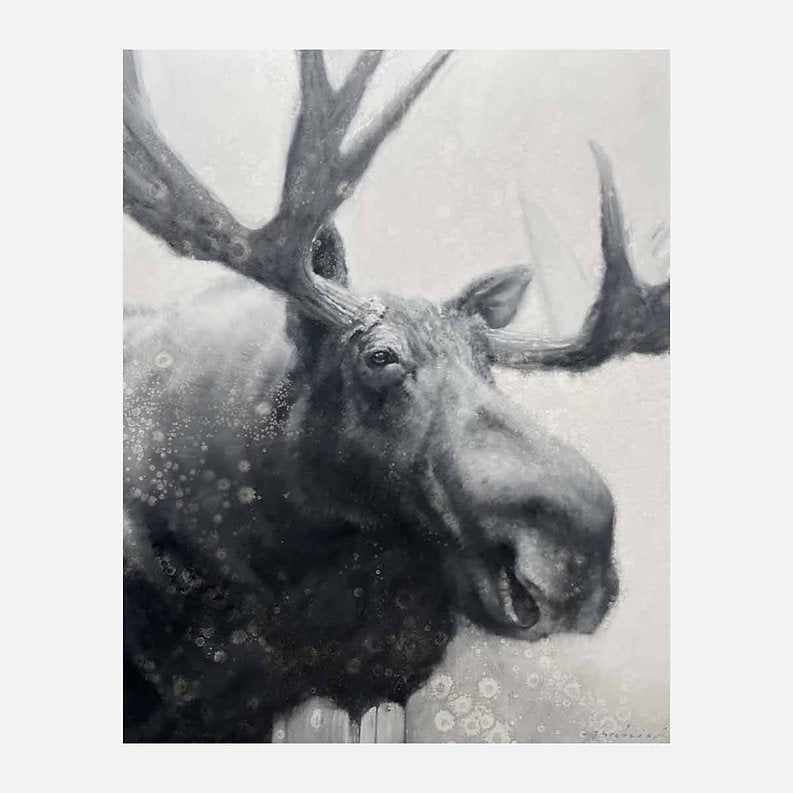 Black and white illustration of a moose with large antlers on a light background