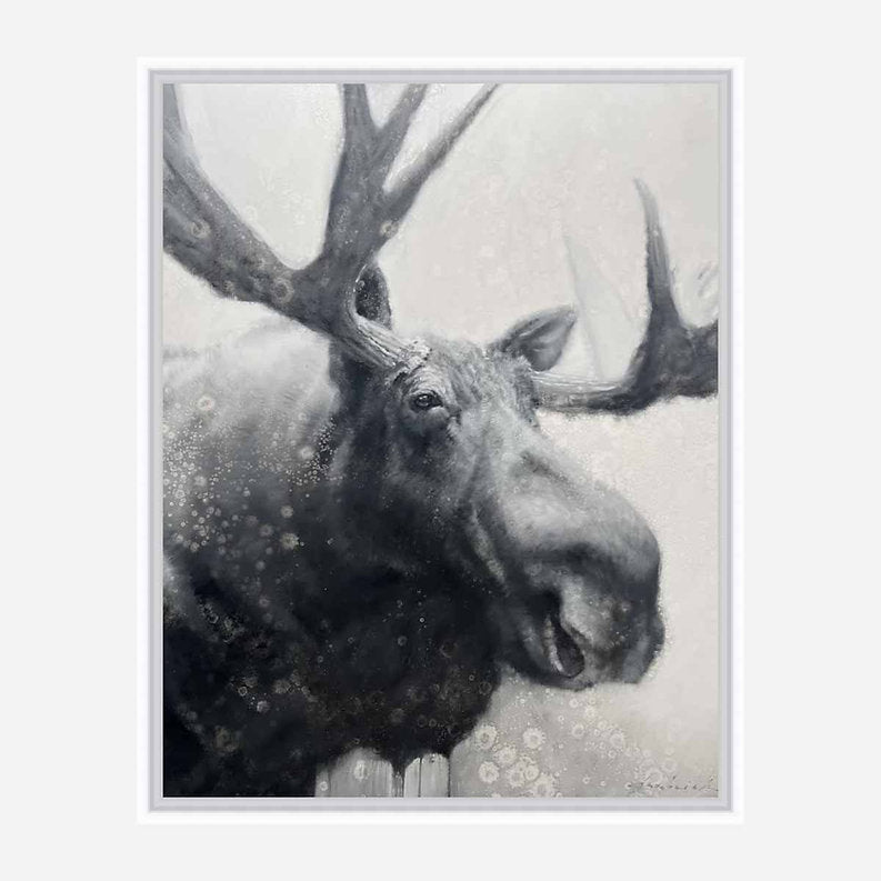 Framed artwork of a moose with large antlers on a light background