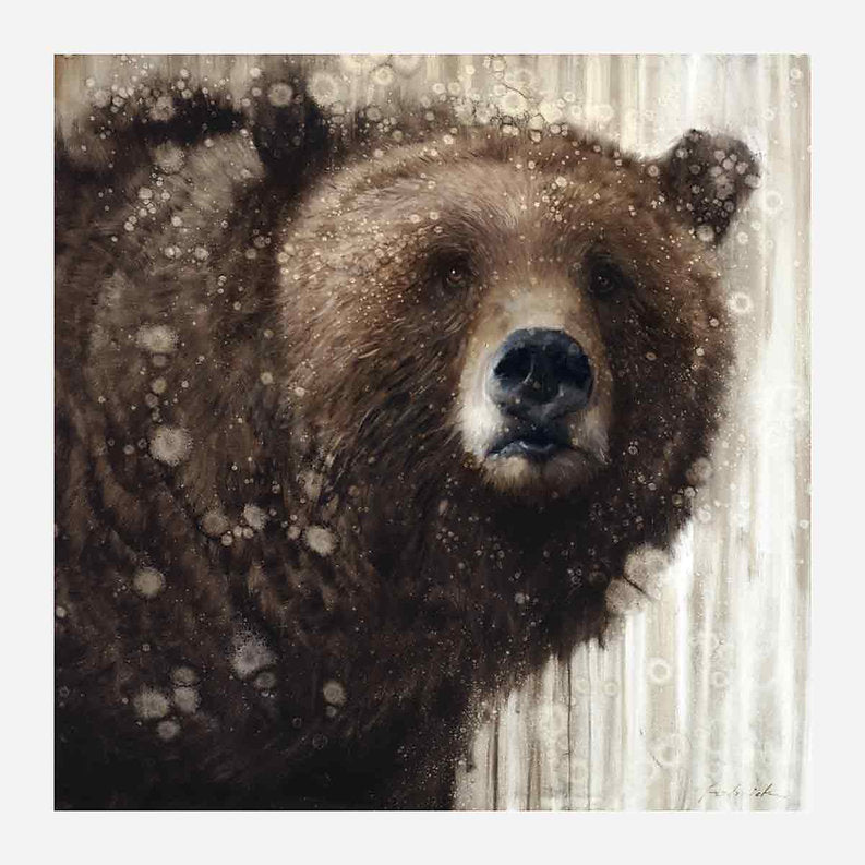 Bear in the snow with a snowy background