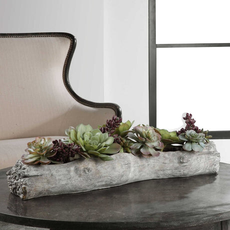 driftwood succulent planters Driftwood Log Succulents – Western Passion