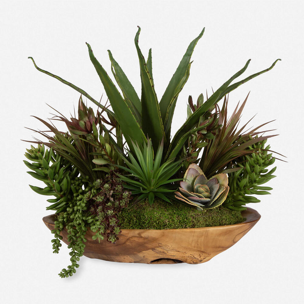 elegant succulent arrangements Uttermost