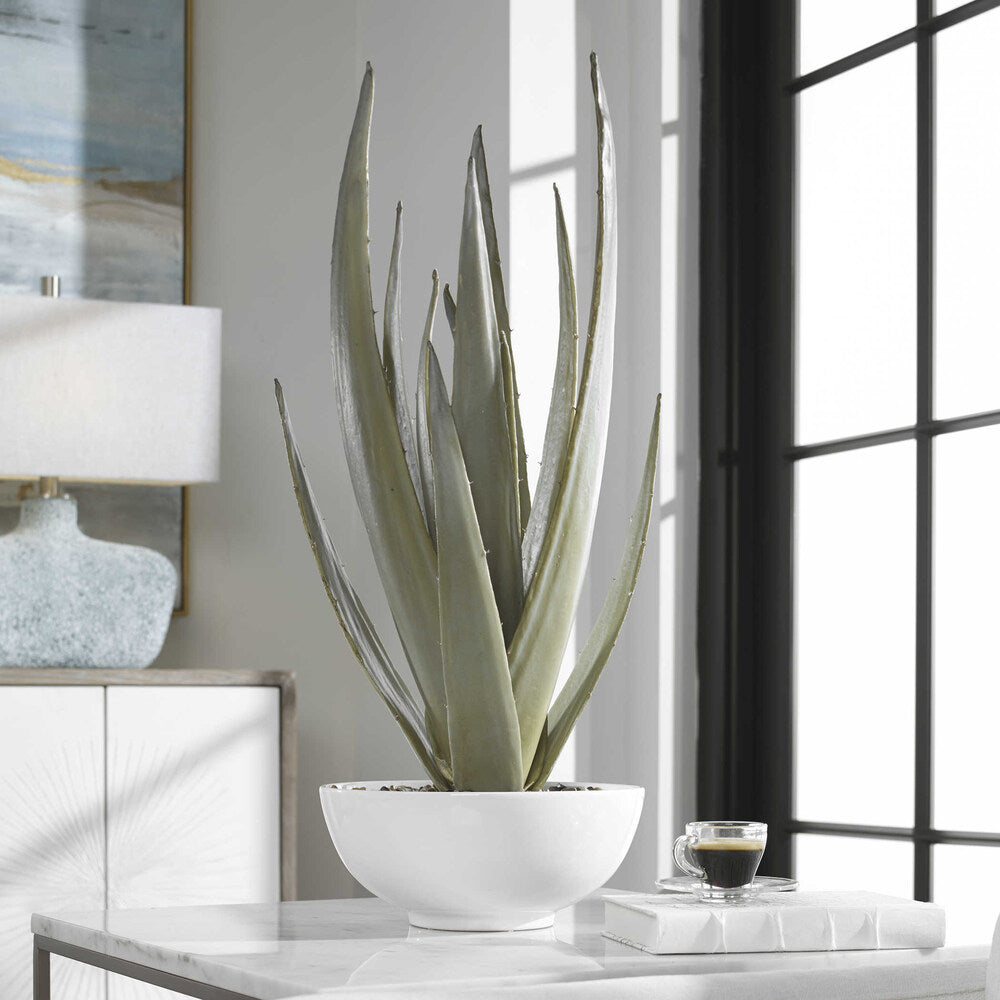 Elegant Robustus Aloe Planter designed for modern interiors with a minimalist aesthetic.
