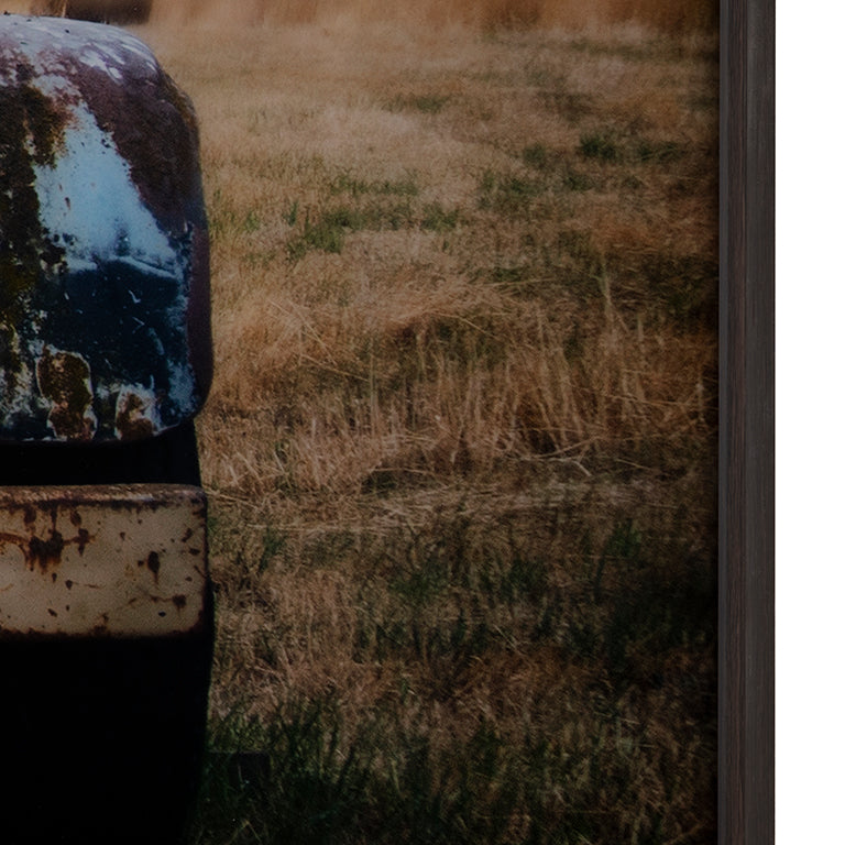 Rust-colored metal object with a textured surface against a grassy background