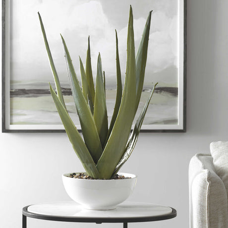 aloe vera plant decoration Robustus Aloe Planter – Western Passion