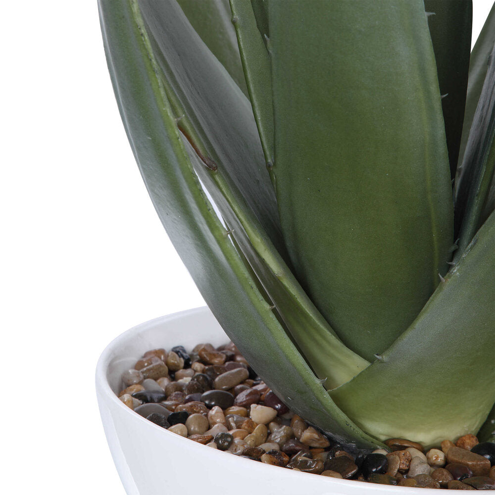 Close-up of Robustus Aloe Planter with vibrant aloe vera, white bowl, and natural stones.