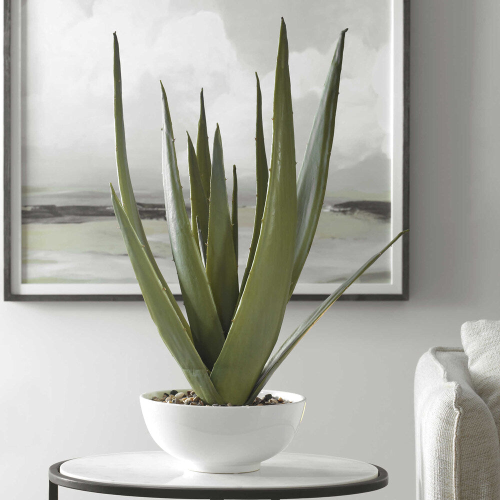 Stylish aloe vera planter featuring a white ceramic bowl and decorative natural stones.