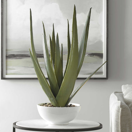 rituals aloe vera Aloe Vera Gel main image 0